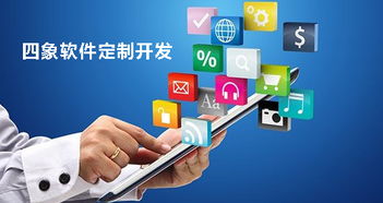 成都軟件開發(fā)公司進(jìn)行軟件定制開發(fā)的優(yōu)勢與缺點